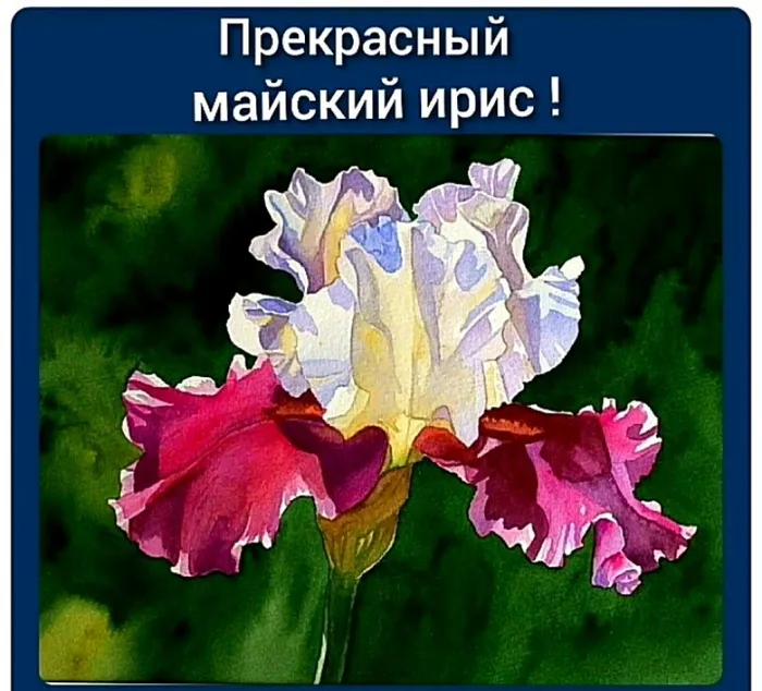 IMG_20200516_200449350