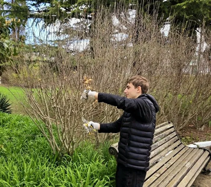 IMG_20260403_104750_487