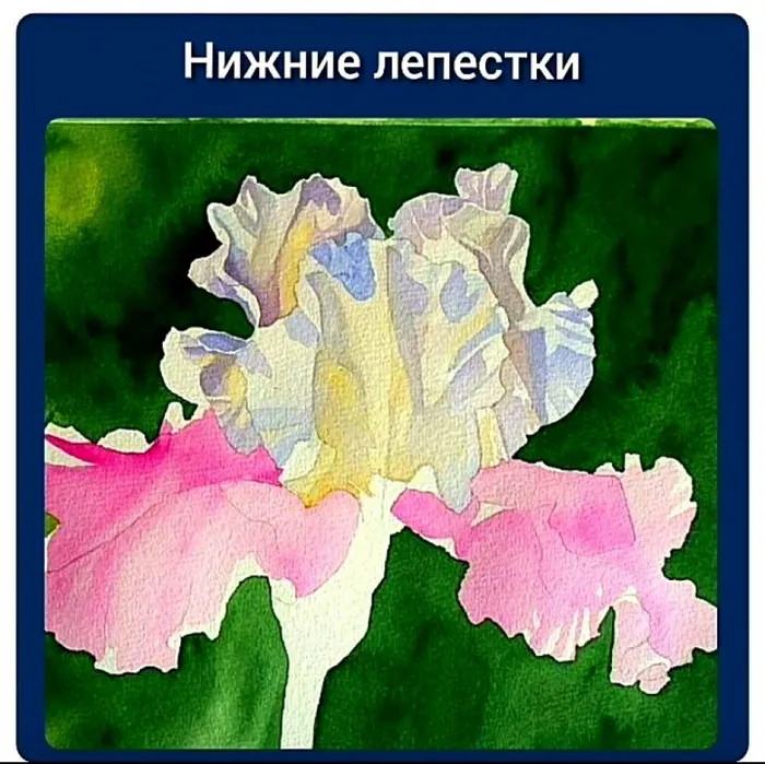 IMG_20200516_200522222
